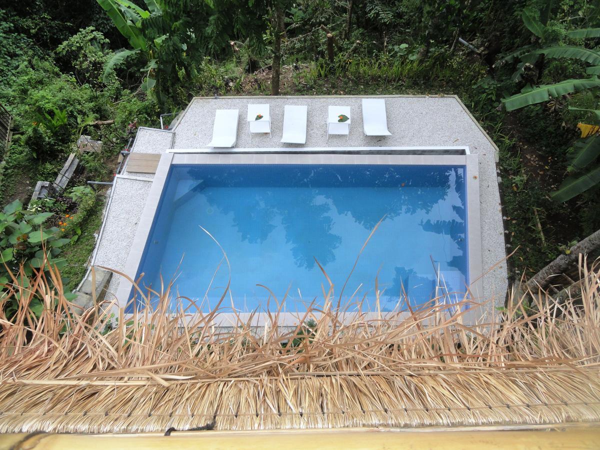 Putu Yoga Bungalow Ubud Swimmingpool billede