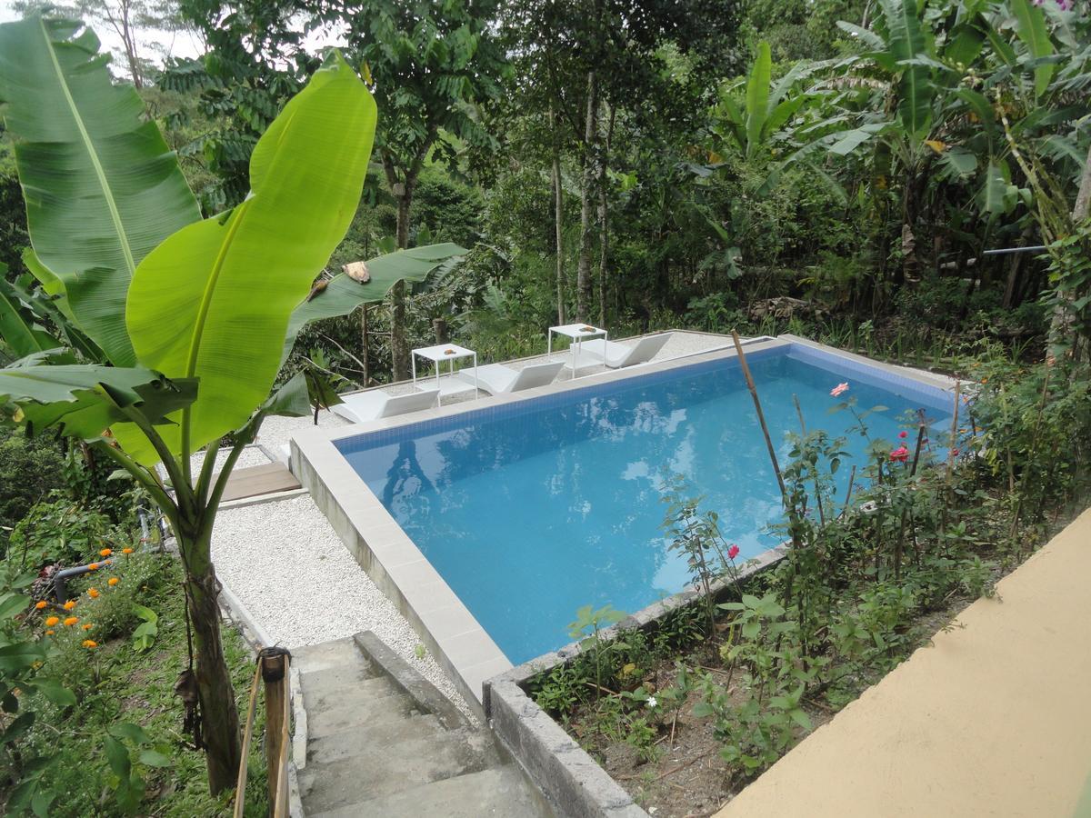 Putu Yoga Bungalow Ubud Eksteriør billede