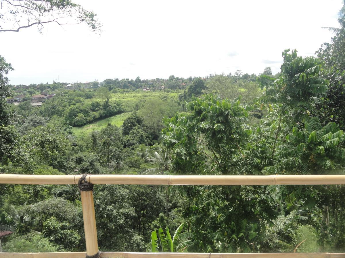 Putu Yoga Bungalow Ubud Eksteriør billede