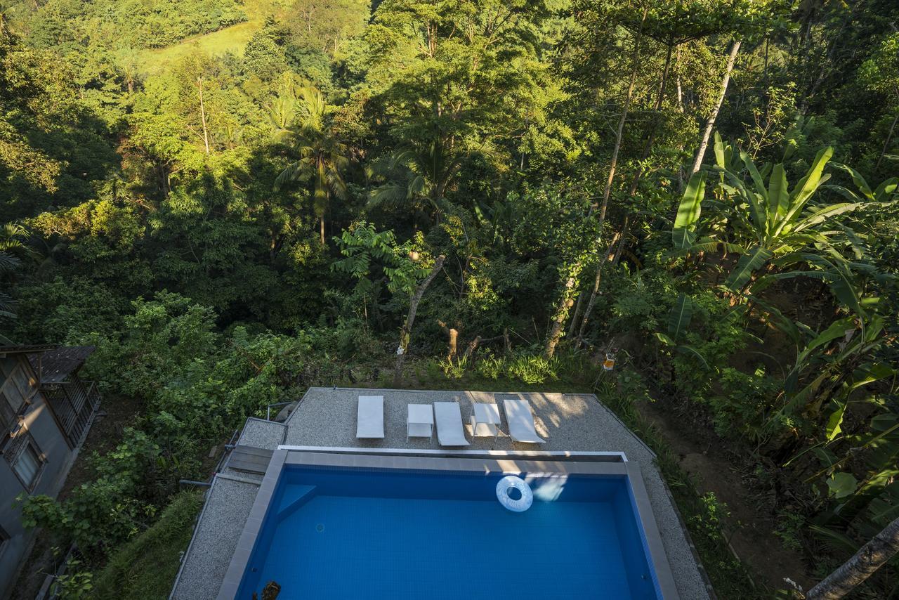 Putu Yoga Bungalow Ubud Eksteriør billede