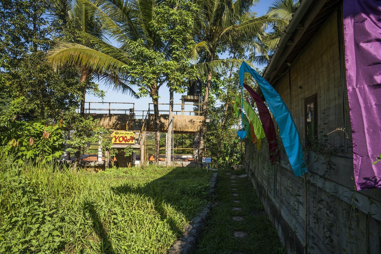 Putu Yoga Bungalow Ubud Eksteriør billede